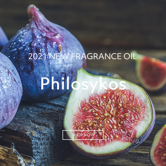 Philosykos